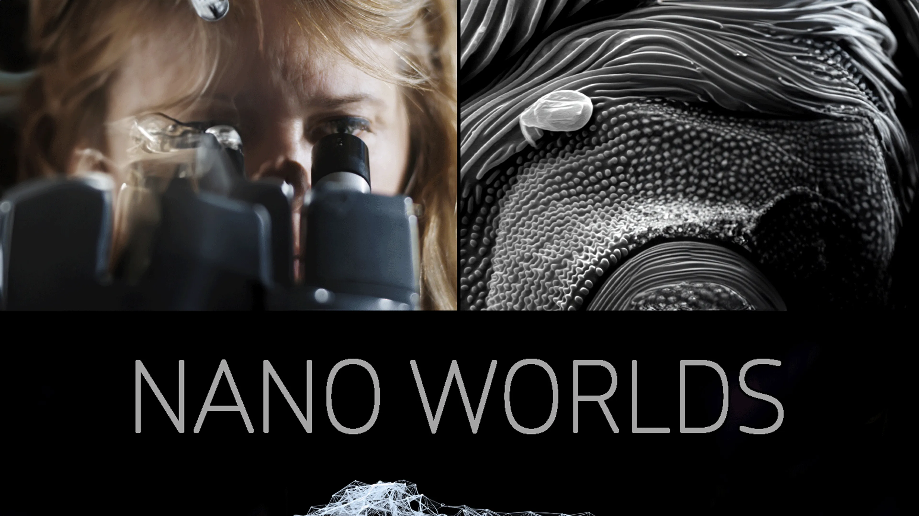 Nano Worlds poster